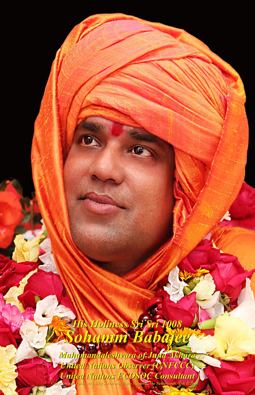 13_Babajee_IMG_4457_yellow_A4_161dpi_final_edit_by_Jorik_Nov2024_150dpi_text copy.jpg