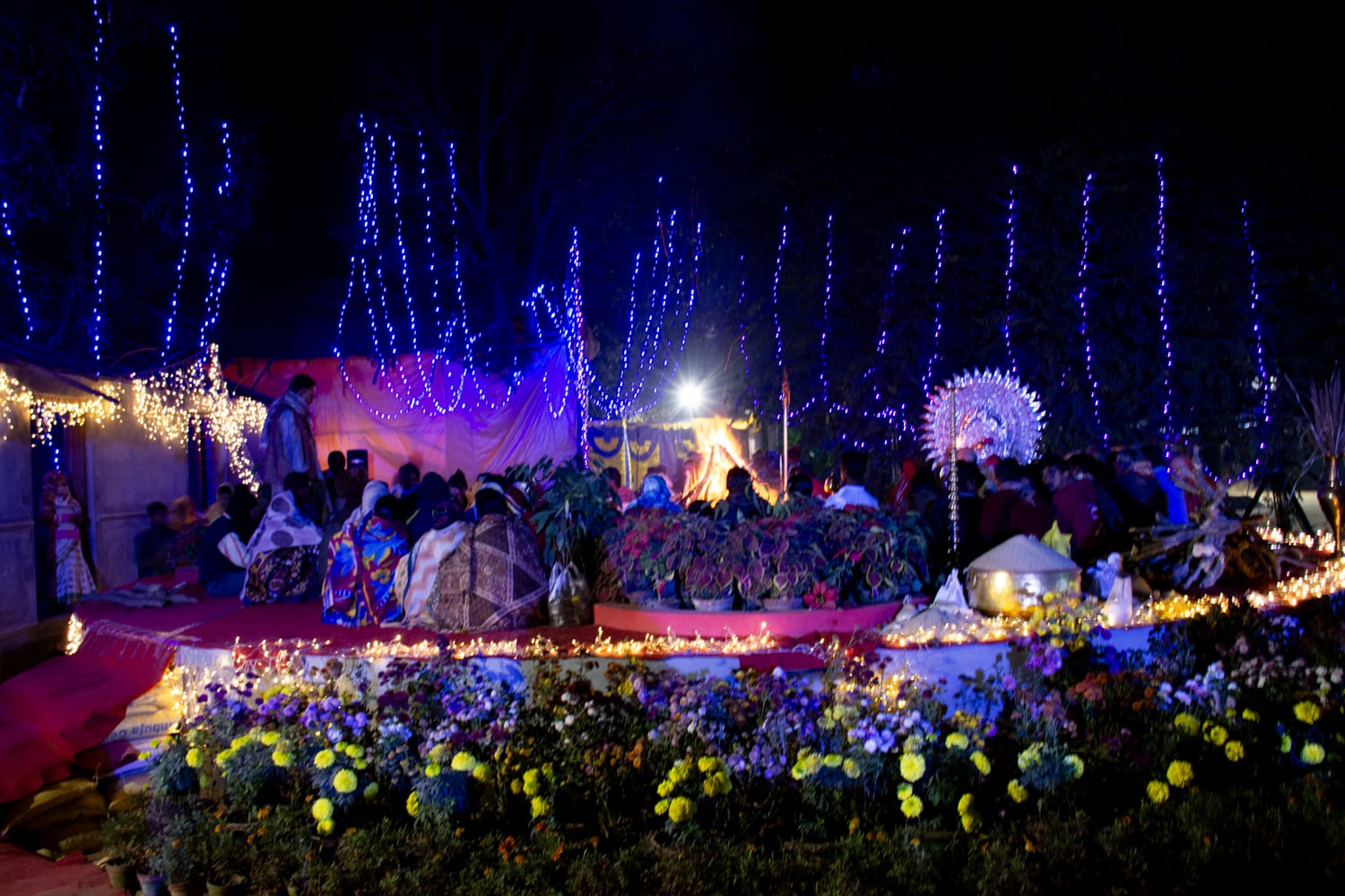 DSC_3955 copy.jpg