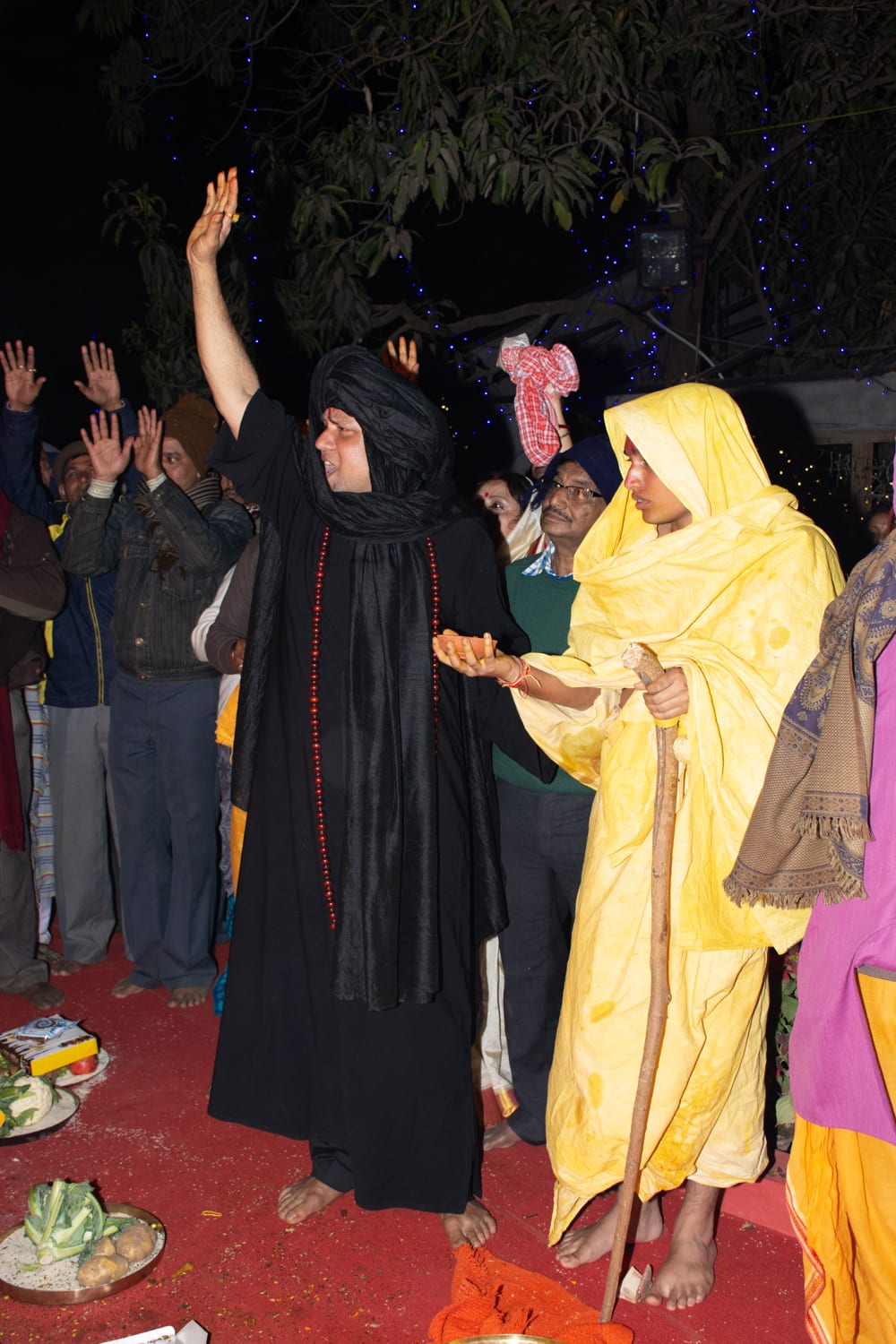DSC_3988 copy.jpg